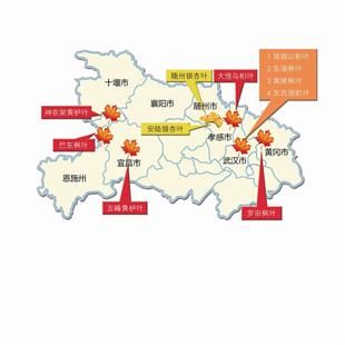 本报推出我省金秋赏叶地图 