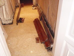 房屋漏水造成地板损失在什么时间做鉴定有效 