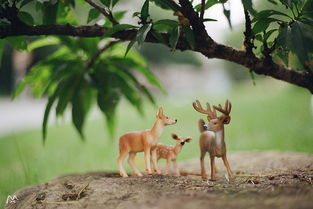 鹿和树150字三年级作文,小鹿和大树交谈春天的信息作文