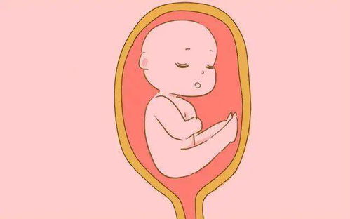 原创孕妇顺产和剖腹产，真的会影响宝宝智商？别不信，还真有差距