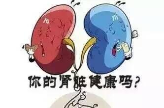 吃什么动物的肾可以达到补肾状阳