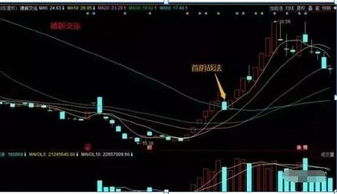 问：中国核电股票怎样12.17高不高，后期看好不看好