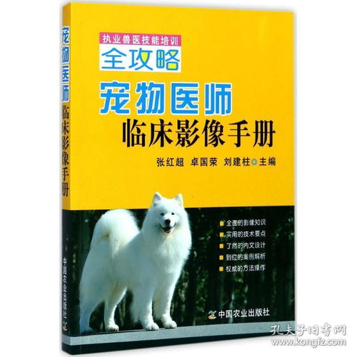 宠物医生游戏攻略大全,宠物医生下载