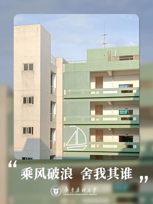 广东药科大学自考,请问自考本科药学专业科目？(图4)