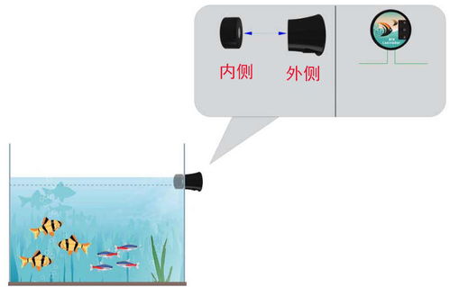 鱼缸智能补水器如何实现自动补水