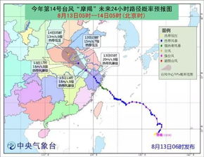 迎战 摩羯 ▏ 台风过境 安吉城管倾力抗台 我们是认真的