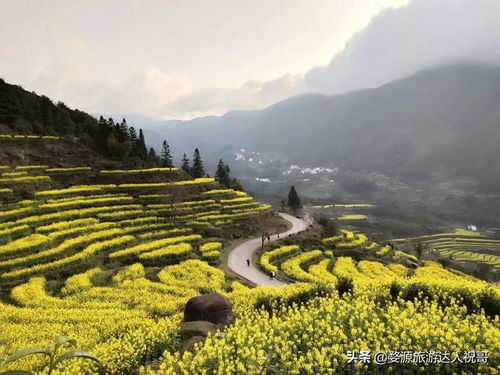 婺源旅游最佳时间 婺源什么季节去最好,推荐一下婺源的游玩路线及景点攻略之类的