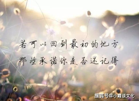 瞬间心情失落的句子,笑不再纯粹,哭不再彻底