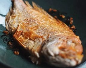 橙鲷鱼做法,视频橙鲷鱼的家常做法，美味营养，让你爱上烹饪！