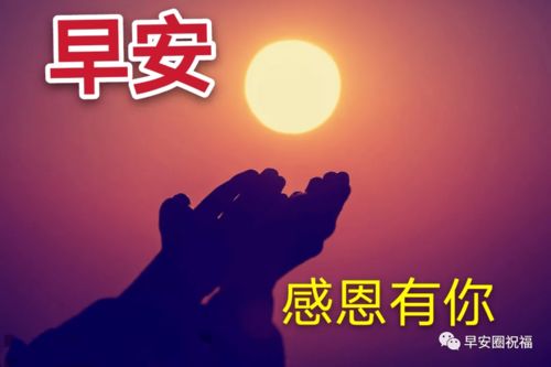 早上好唯美的动态图片带字 夏季早安祝福语大全简短