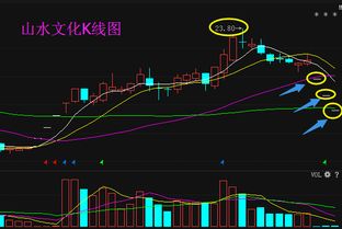 山水文化发布退市风险公告是利好还是利空