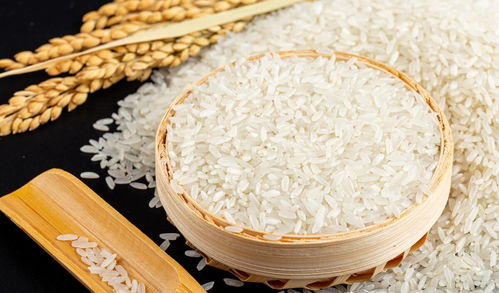 大米是凉性还是热性,大米和面食(小麦)以及小米粥,分别是凉性还是温性