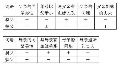 简述义素分析法