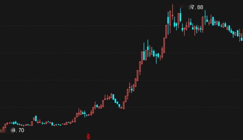 请问60007这只股票的公司情况？