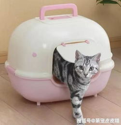 新买的猫砂盆猫咪喜欢吗 选购猫砂盆时需要了解的知识