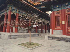 北京旅行 据说是帝都最灵验的烧香拜拜之地 雍和宫