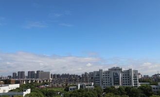 雨过天晴,台风后的海盐美翻了