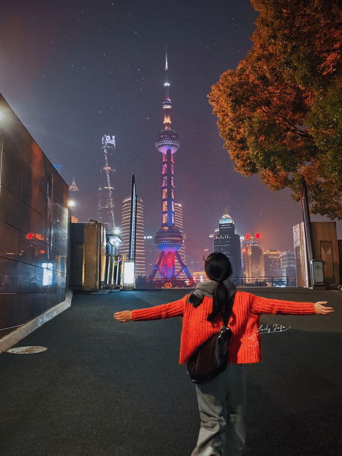上海攻略,上海攻略：探索这座城市的文化魅力