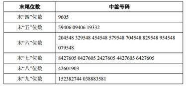 华虹公司中签号公布