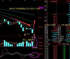 请高手编一个通达信日K线沿着5日线小阳小阴上涨的股票公式