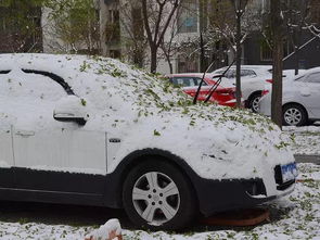 马上出发不用愁 教你大雪过后如何清除 