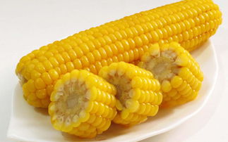 专家建议玉米尽量少吃的原因(玉米为何要尽量少吃)(玉米为什么不建议长期吃)
