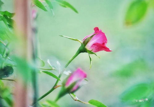 春季降雨量最多的节气