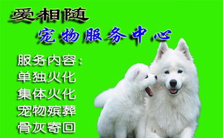 图 泗塘新村宠物火化宠物殡葬动物尸体火化 上海宠物服务 
