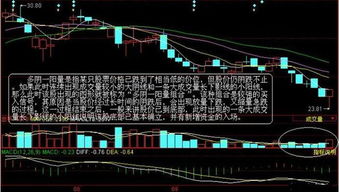 为什么基金会购买某个企业的股票额不得超过该企业股票总额的20%