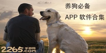 养狗app哪个好 好用的养狗app 关于狗狗的app软件排行