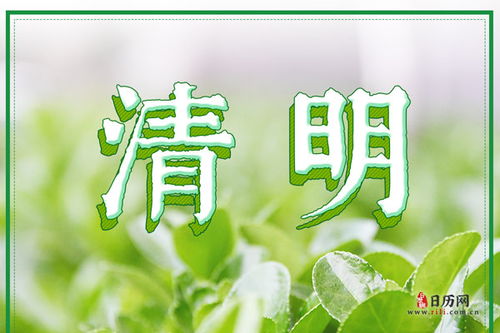 清明节什么时候烧纸最好