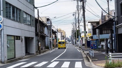 风居住的街道