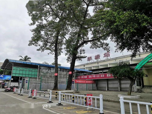 请问南宁宾阳县黎塘长途汽车客运站客服是多少 ，宾阳县出行提醒电话是多少