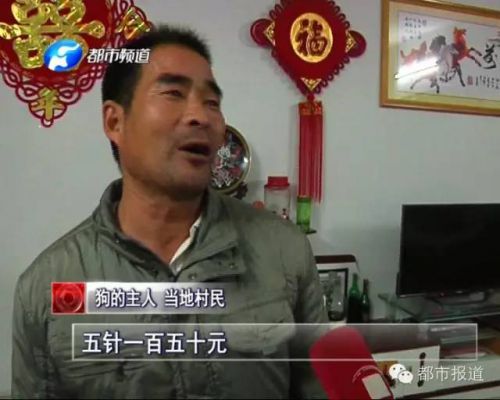 河南一女童被狗咬伤 医生拿头孢充当狂犬疫苗