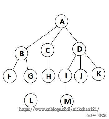 二分查找判定树怎么画 今日干货 树