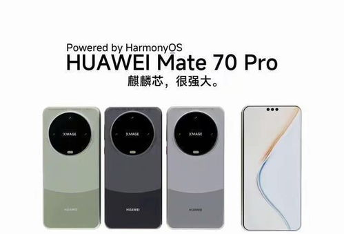 華為MAte70代工