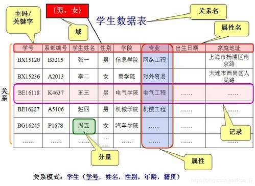 本地库查重：原理、优势与应用场景