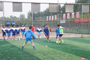 西山学校 足球运动员职业规划培训,为学生职业发展铺就光明大道