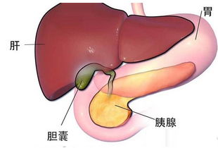 气功自疗祛除了长达十二年的闭经