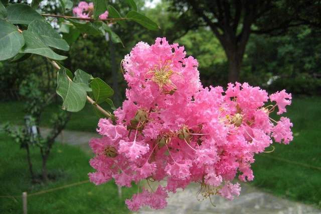 园林芸知道的个人展示页 