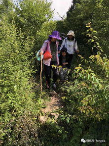 爬山涉水,来做这里的一朵小蘑菇