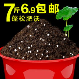 泥炭土和营养土的区别分别是什么土壤,营养土和泥炭土一样吗？