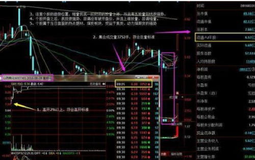 股票开盘前会“集合竟价”是什么意思？