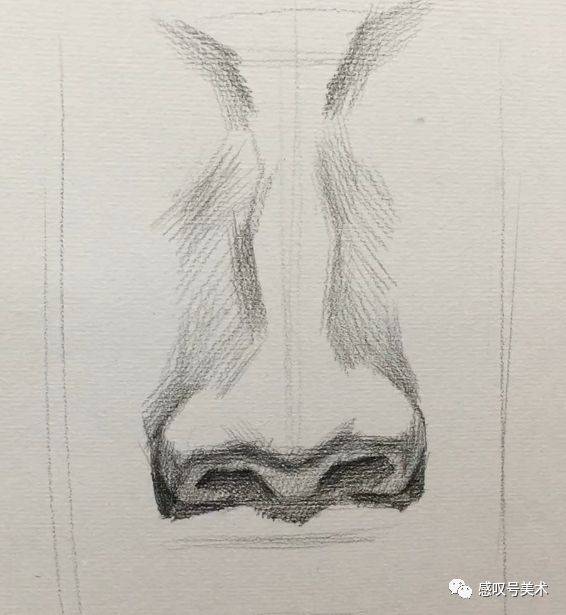 素描头像五官鼻子的绘画︱你真的能找准结构线吗 