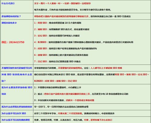 搜索引擎优化排名培训