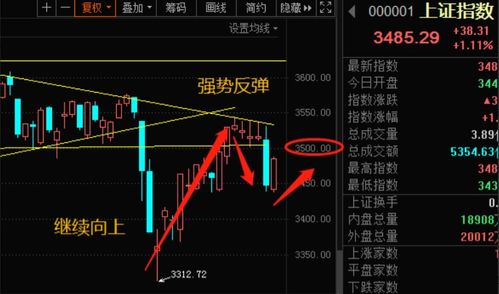 究竟是一日游 还是券商股行情来了