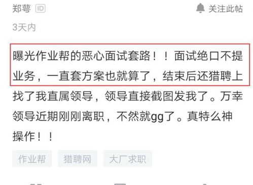 员工跳槽面试新工作,不料HR没发offer背调被领导知道,结果蒙了