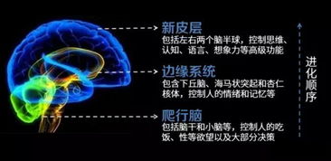 我想用一款决策性的炒股软件？短线客决策系统软件怎么样？