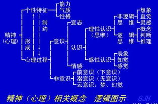 人的情感思维可以分为理性思维跟感性思维,那么两者的区别是 