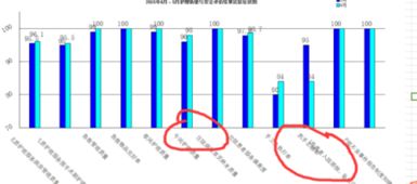 WPS柱状图中下面的斜体字怎样做到的倾斜不重叠 